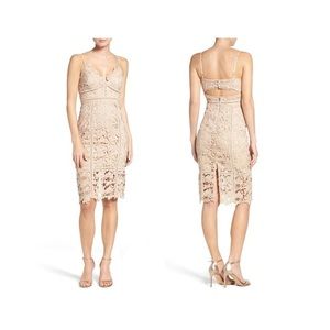 Bardot Lace Dress